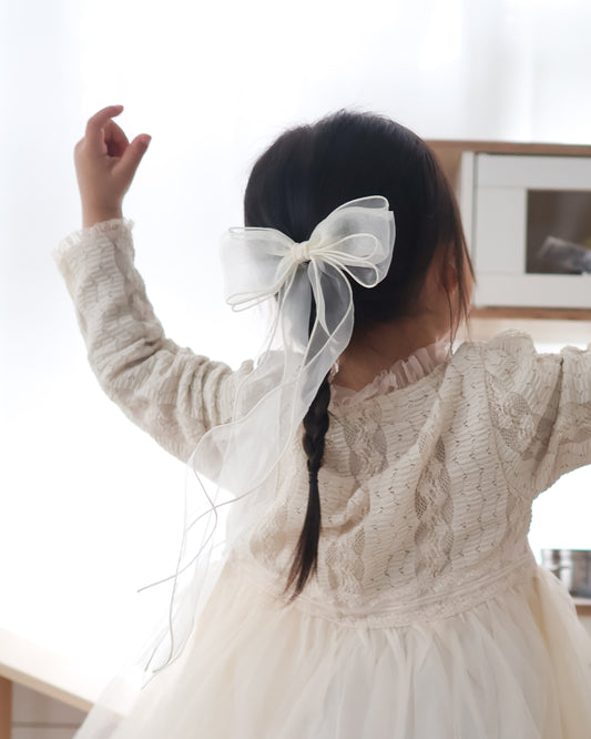 Organza Long Ribbon Hair Clip